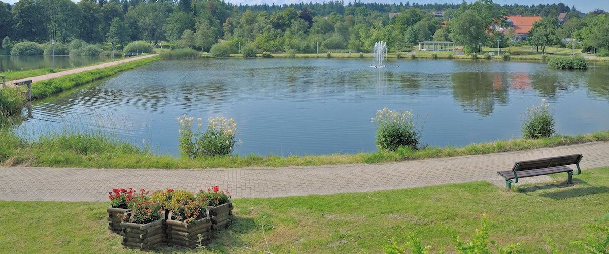 der Kranichsee am Kurpark im Urlaubsort Hahnenklee-Bockswiese bei Goslar,Oberharz,Deutschland