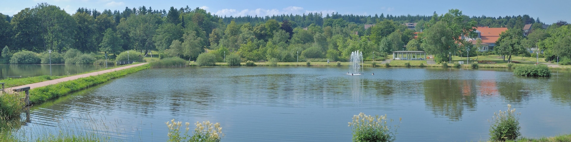der Kranichsee am Kurpark im Urlaubsort Hahnenklee-Bockswiese bei Goslar,Oberharz,Deutschland