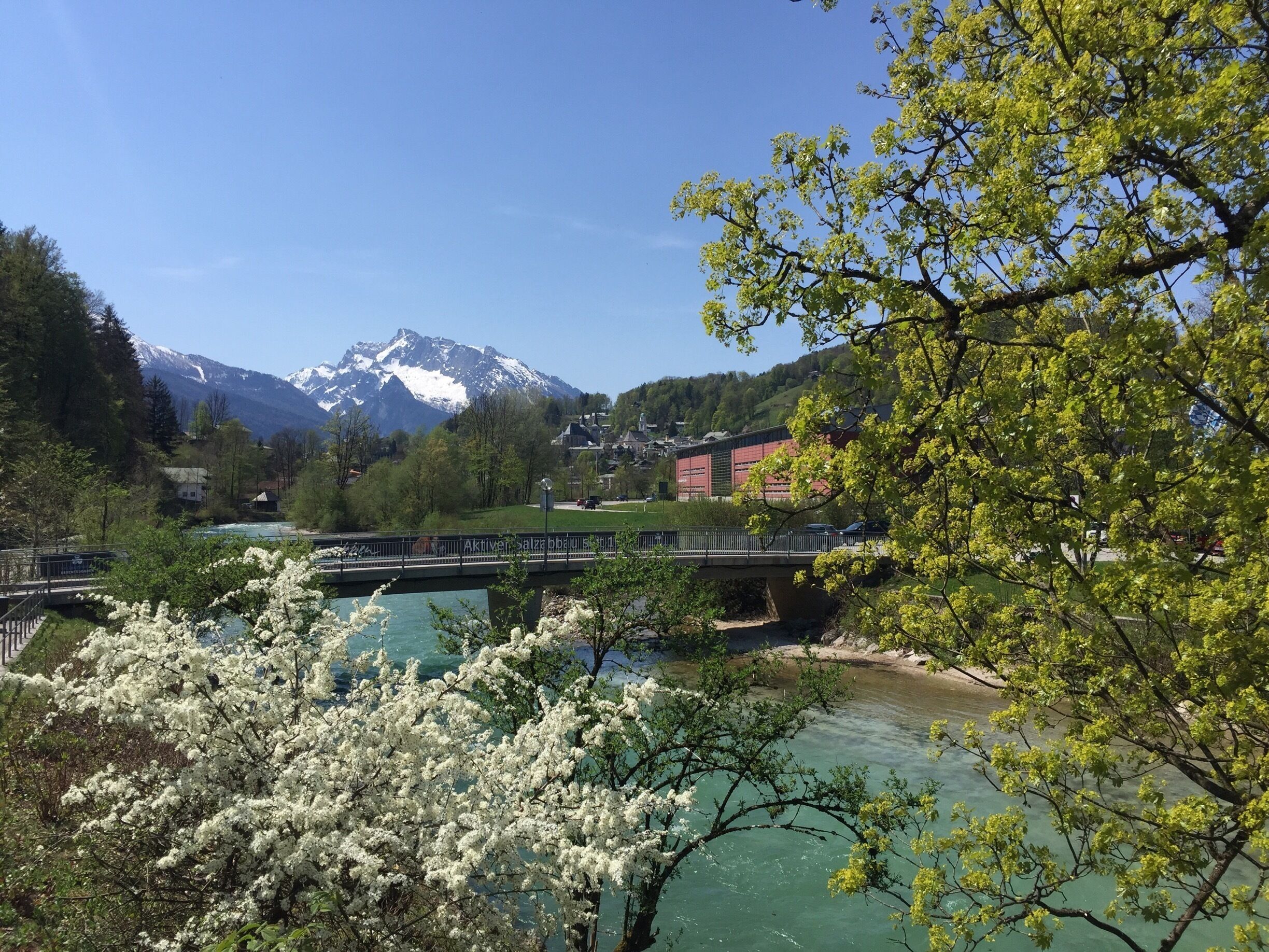 A river with a bridge, a mountain in the background, and blooming trees.