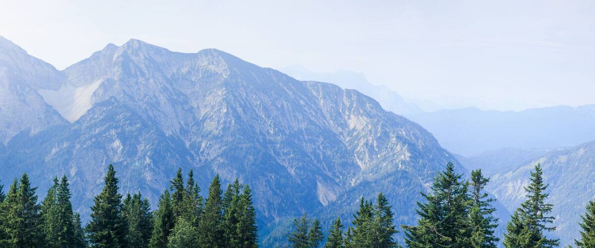 A mountain range with dense coniferous forests at the base.