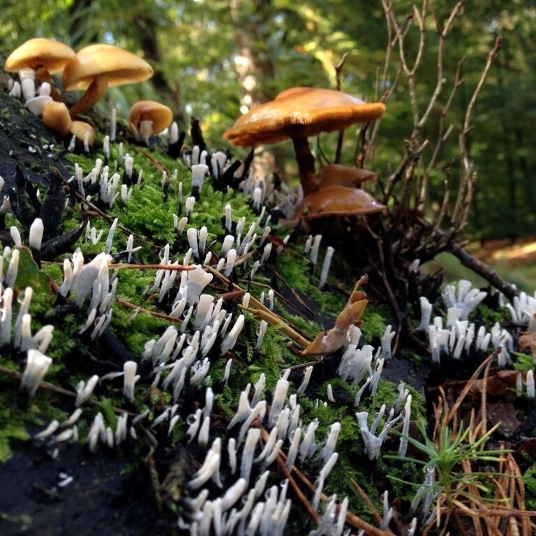 Autumn. One of my most favorite seasons. 