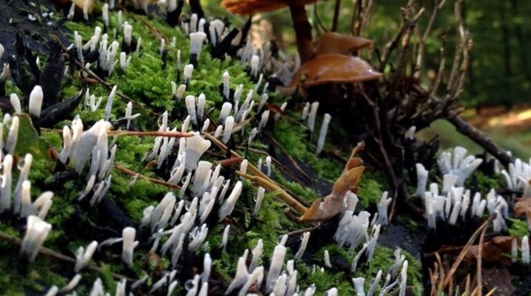 Autumn. One of my most favorite seasons.