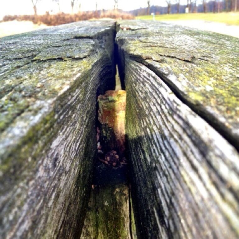 Wooden sitting bank on The golfcourse in heelsums