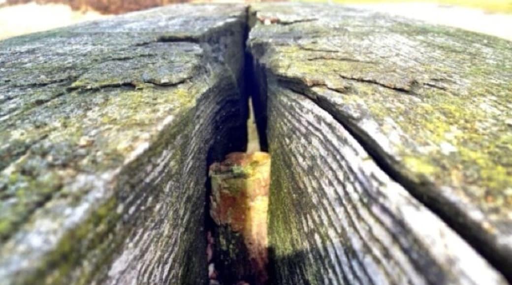 Wooden sitting bank on The golfcourse in heelsums