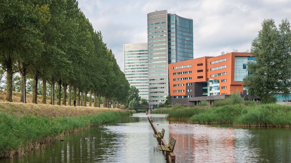 A river with benches, trees, and modern buildings in the background.