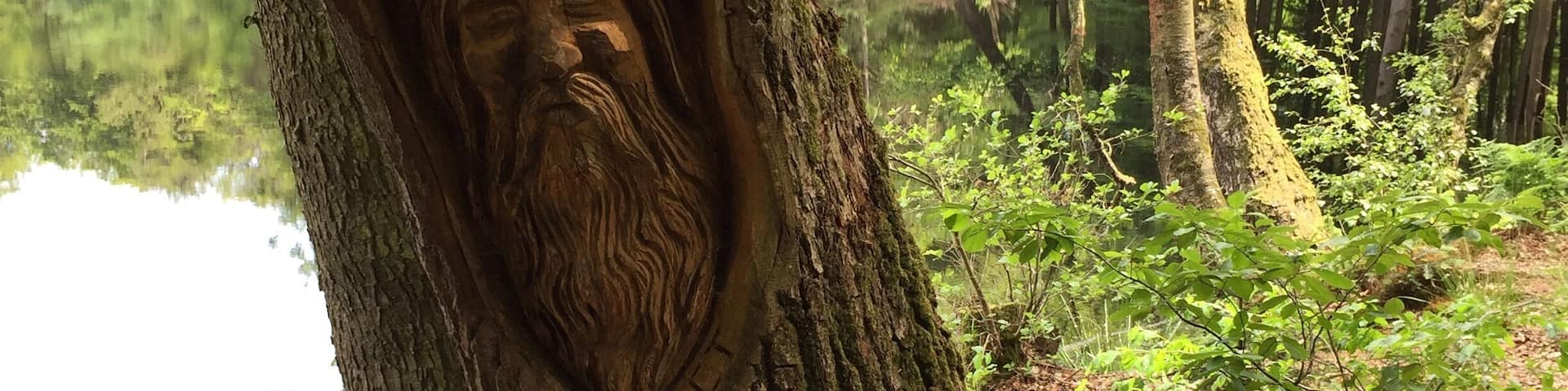 The woodland trails I was running on near the hotel had these lovely carvings sporadically placed along the path. Charming! #lifeatexpedia