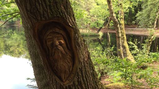 The woodland trails I was running on near the hotel had these lovely carvings sporadically placed along the path. Charming! #lifeatexpedia