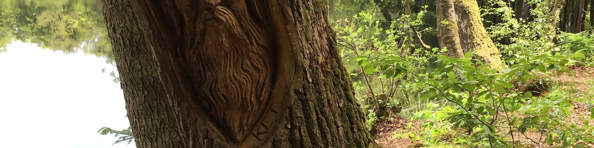 The woodland trails I was running on near the hotel had these lovely carvings sporadically placed along the path. Charming! #lifeatexpedia
