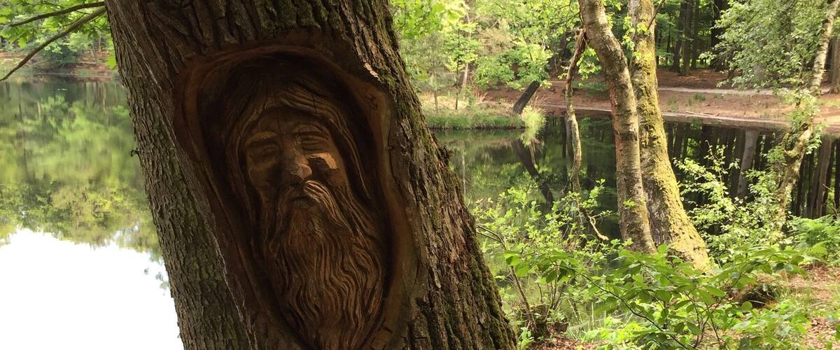 A tree with a carved face in a forest near a pond.