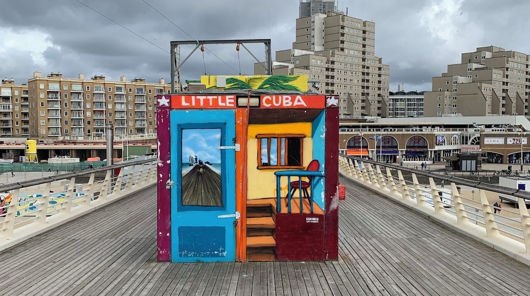 Color on a Gloomy day