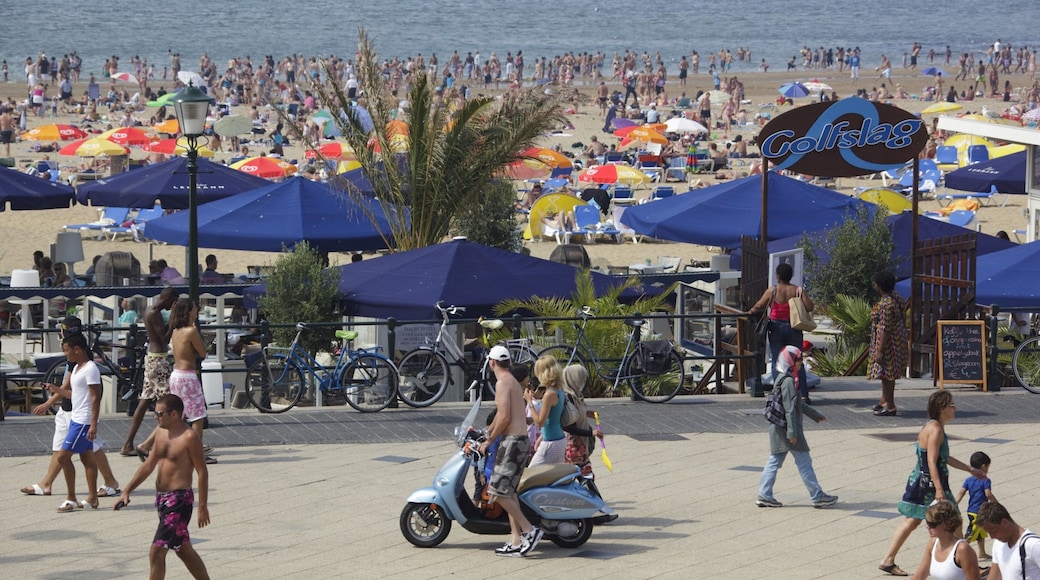 Scheveningen-Strand das einen Straßenszenen, Sandstrand und Mopedfahren
