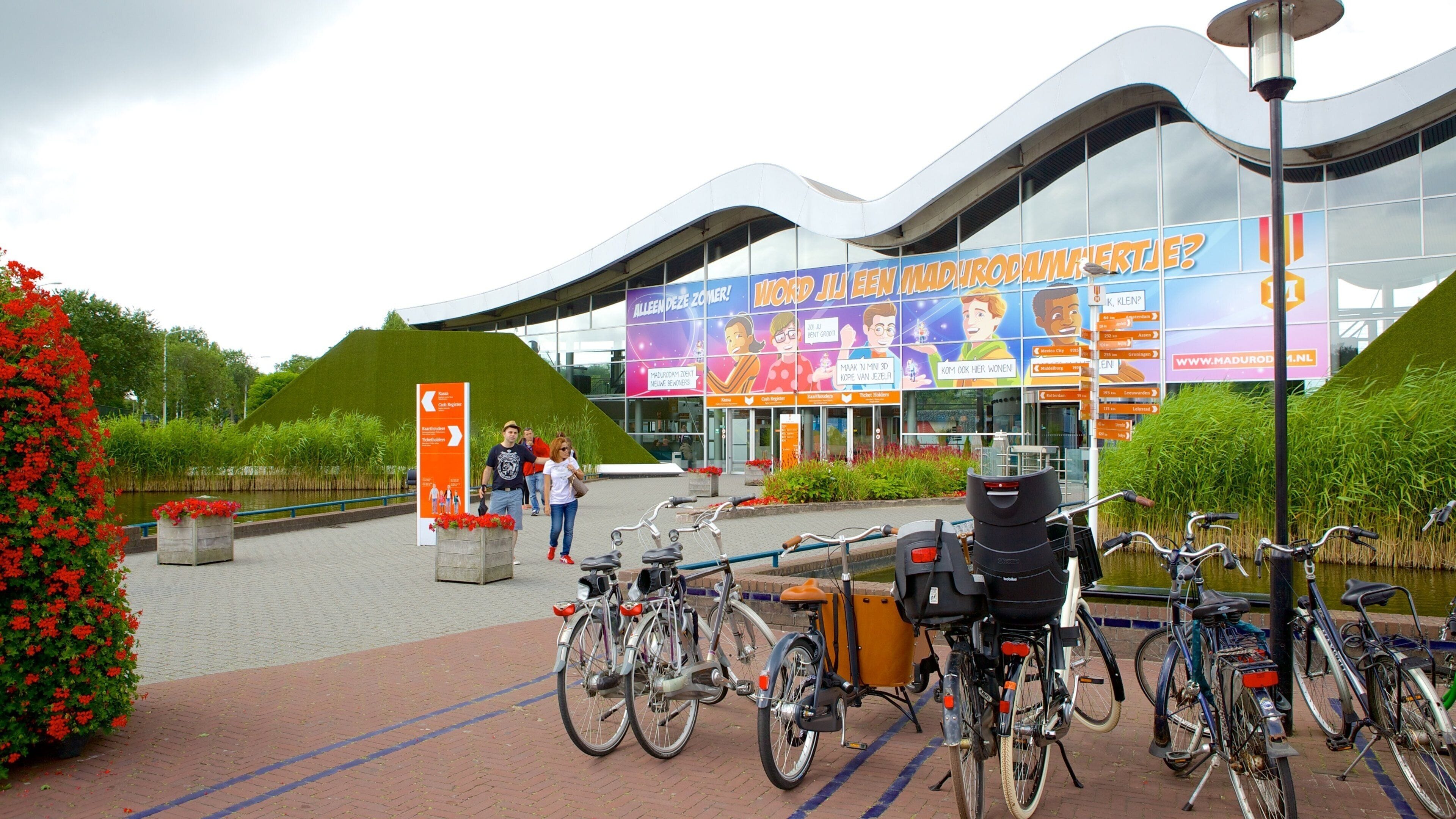 Olanda Meridionale caratteristiche di fiori, segnaletica e architettura moderna