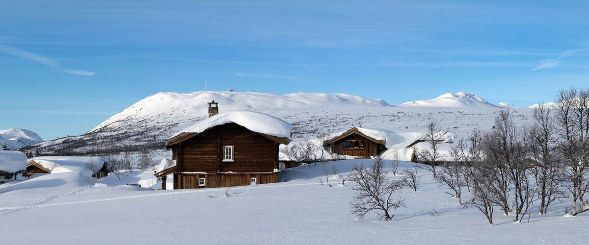 A snow-covered village with wooden houses and a mountain in the background.