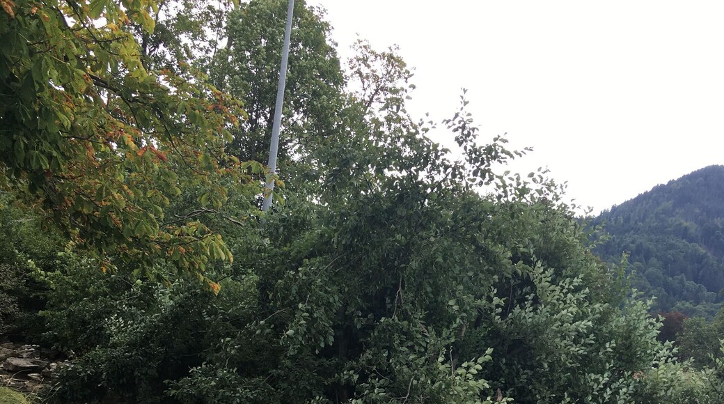 #ExpediaCares
Lake Schliersee.
One of the cleanest and well-kept lakes I've seen in my life. The lake was formed from the melting of glaciers in the last ice. The surroundings of the lake is uncontaminated and as due to the excellent quality of water , the lake serves as a perfect vacation spot for holidaymakers.