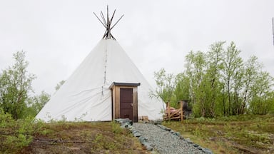 Kautokeino showing tranquil scenes