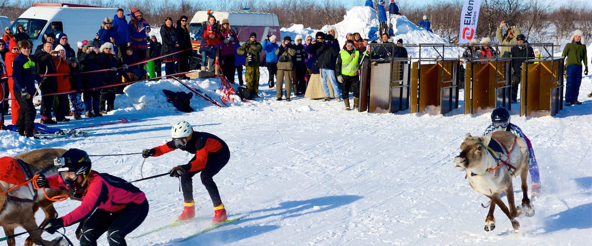 Kautokeino qui includes traĂźneau Ă  chiens et neige aussi bien que enfants
