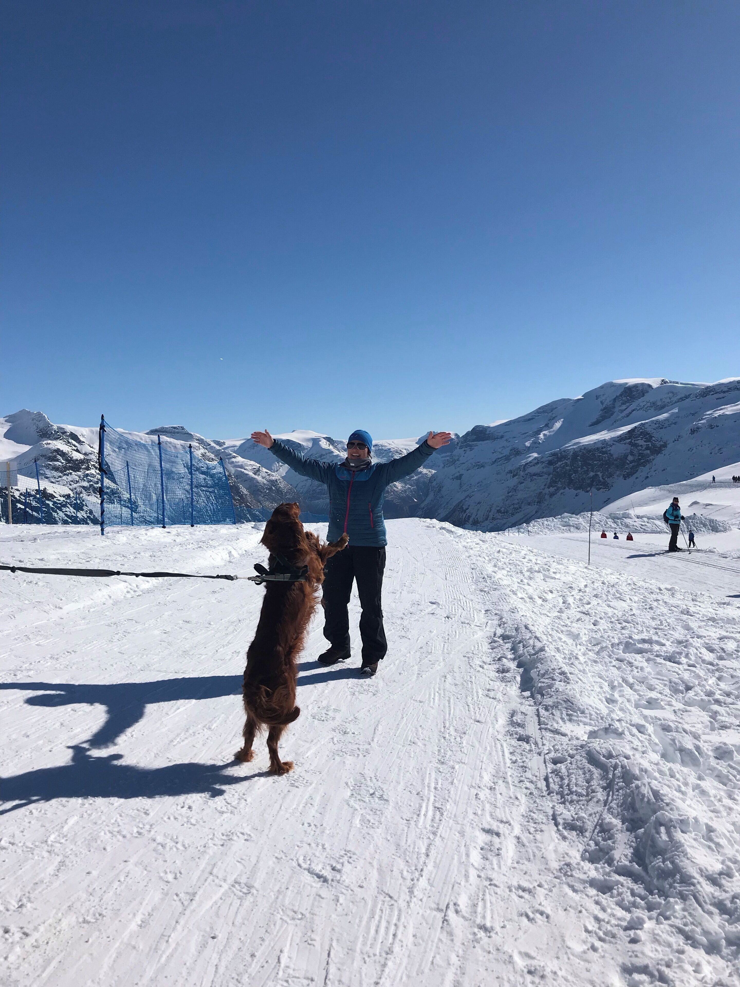 In Norway, dogs are more than a mans best friend. Dogs are our hike companions, faithful ski comrades. In my #culture, dogs are a vital part of our happiness.