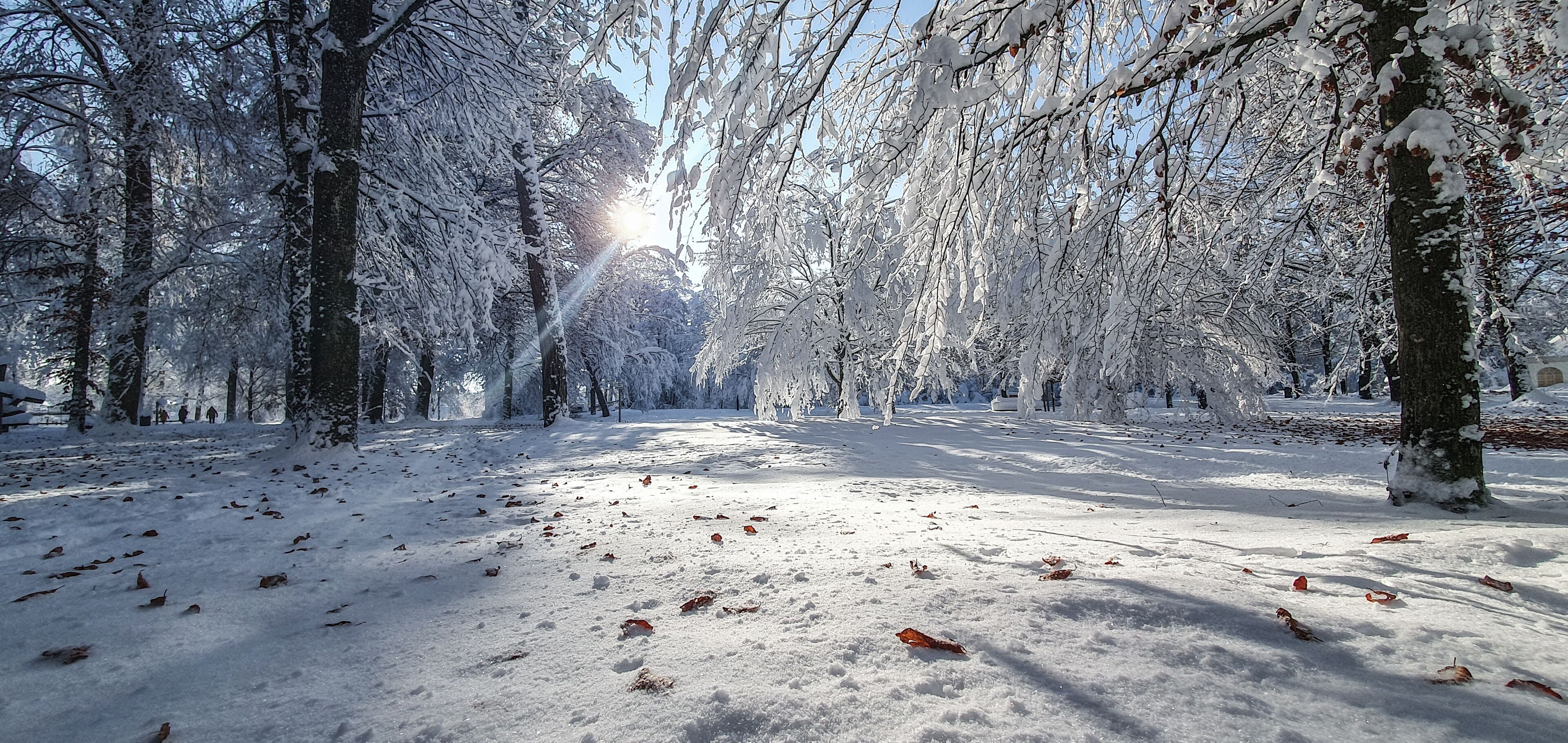 Bad Aibling, Deutschland: Strahlender Wintertag im Park