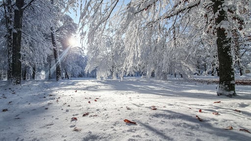 Bad Aibling, Deutschland: Strahlender Wintertag im Park