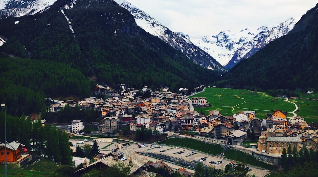 Favorite little town in Italy overlooking the Swiss alps. #green