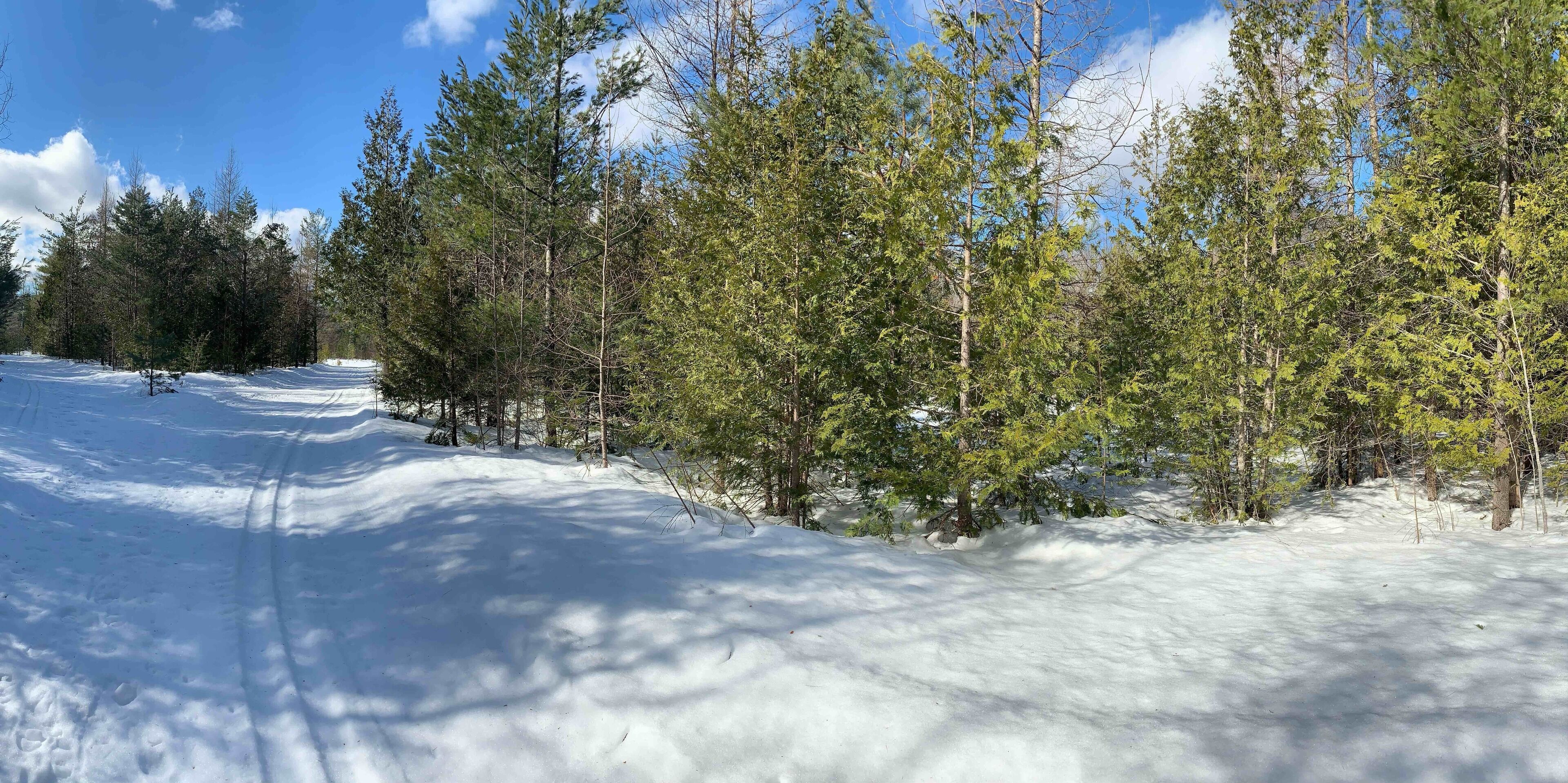 One of the trails at Garnet Hill Cross Country Center. #adirondack #garnethillxccenter #winterwonderland #newyork #adirondackpark #snow #OnTheRoad