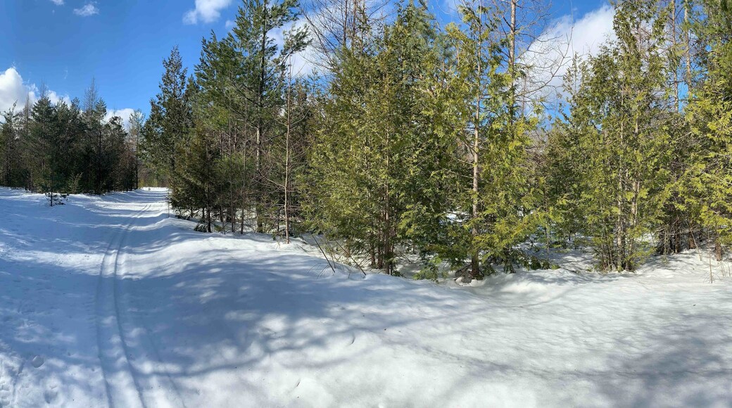 One of the trails at Garnet Hill Cross Country Center. #adirondack #garnethillxccenter #winterwonderland #newyork #adirondackpark #snow #OnTheRoad