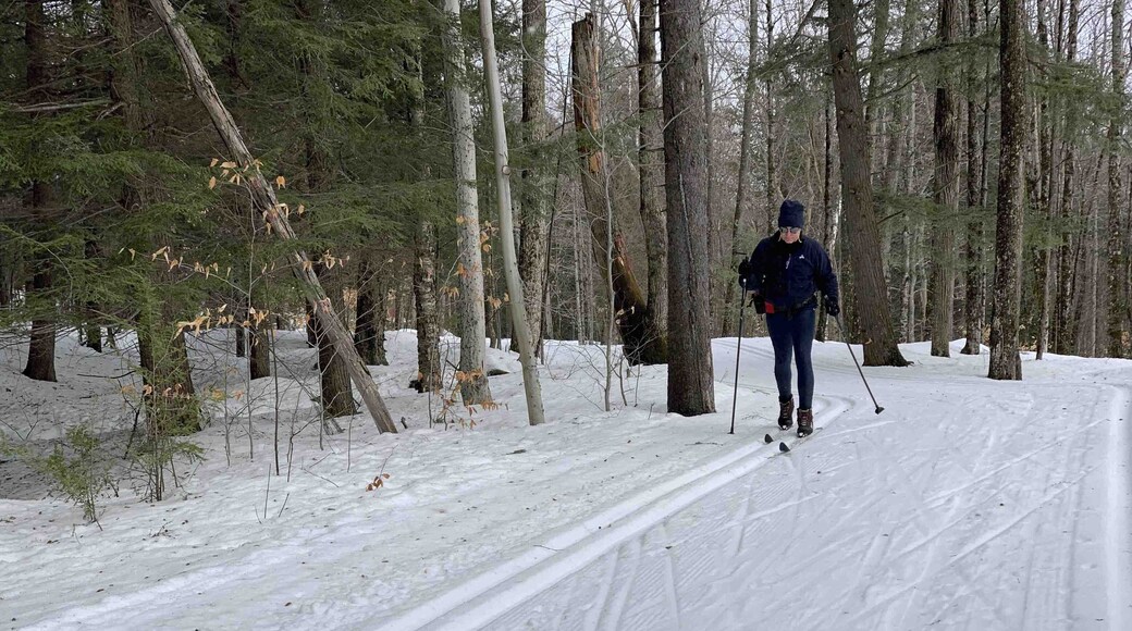 Cross country skiing at Garnet Hill XC Center #oldfaithfultrail #winterwonderland #winter #xcskiing #crosscountryskiing #adirondackpark #adirondacks #snow #weekendgetaway #kidsfun #vacation