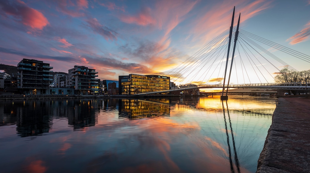 Ypsilon Bridge Drammen