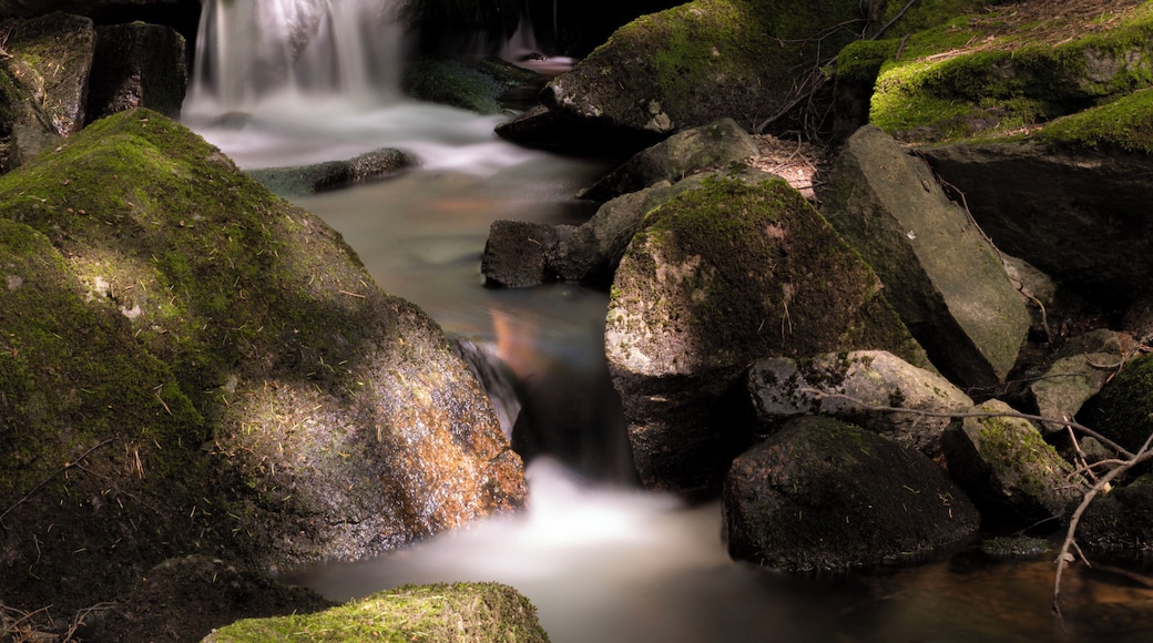 Found a nice little river and fall.
30 second exposure at F22
