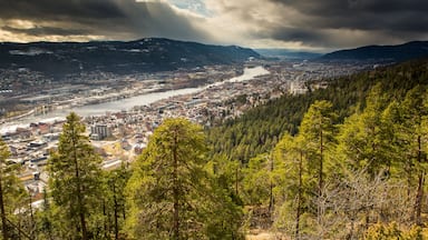 A city with a river, surrounded by mountains and dense forests.