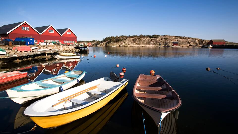 A calm harbor with several small boats docked near red houses.