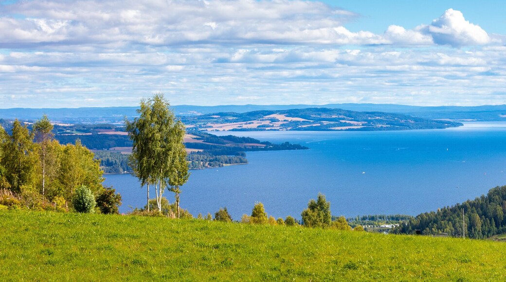 Panoramic view of a beautiful lake Mjosa and Gjovik city in summer. Norway
