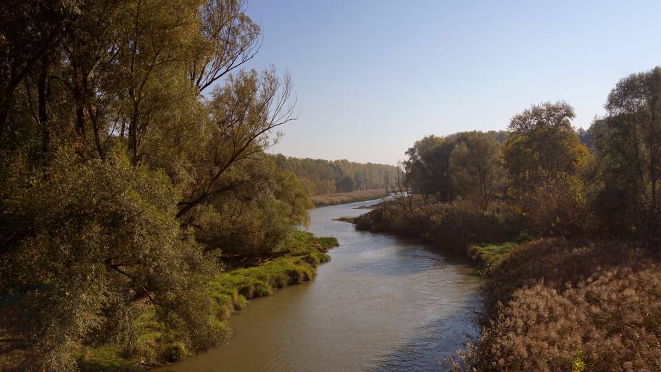 A river winding through a forested area with dense trees and greenery.
