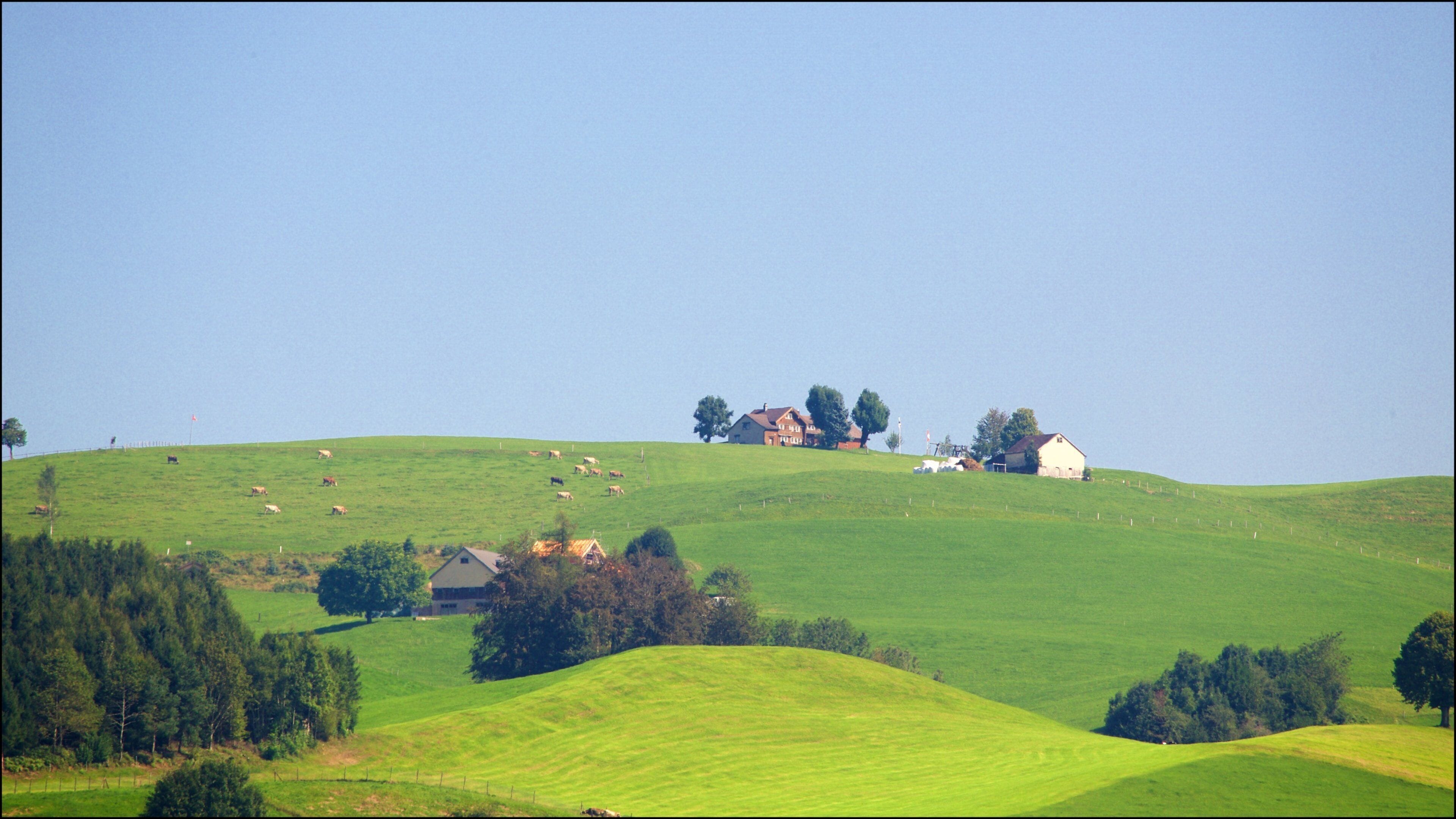 Appenzell featuring tranquil scenes and landscape views