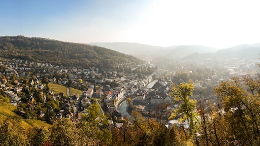 scenic panorama of a city in baden aargau switzerland in autumn with fog in background