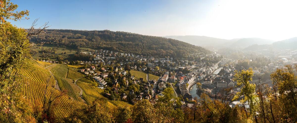 A town nestled in a valley with vineyards and a river.