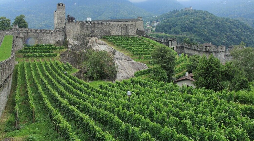 Castel Grande Bellinzona