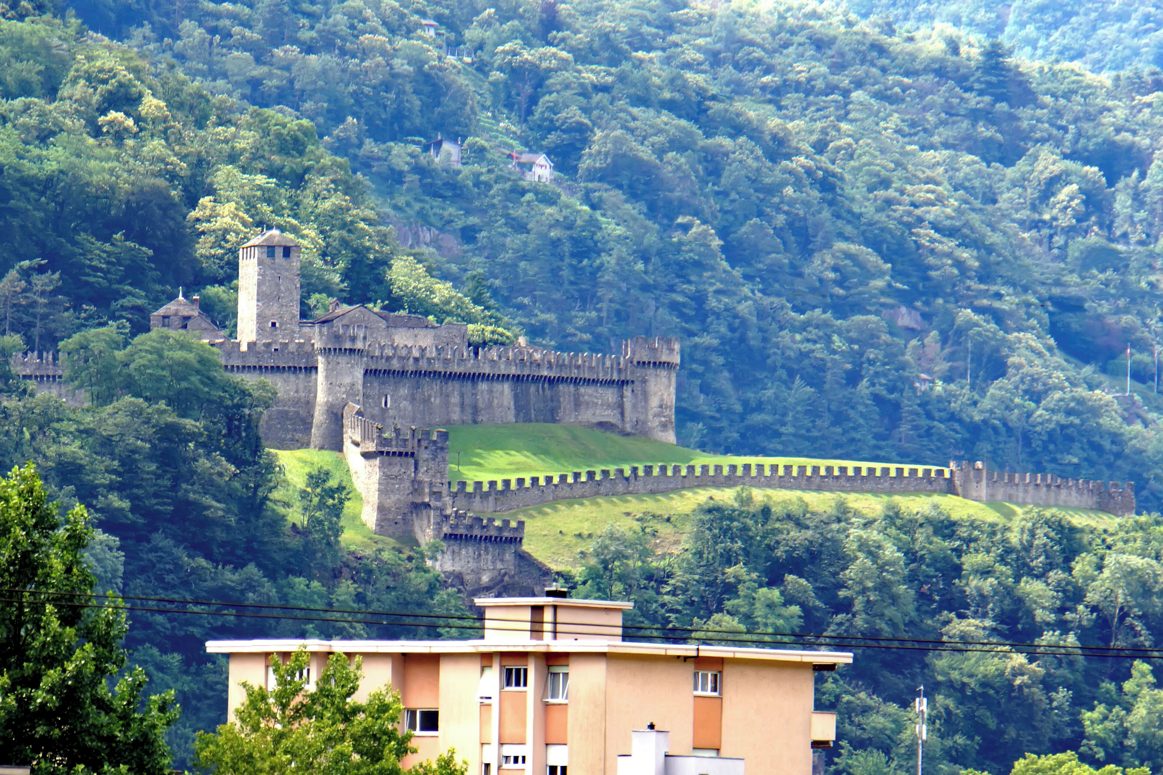 A medieval castle on a hill with a moat, surrounded by dense forest.