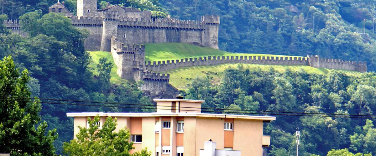 A medieval castle on a hill with a moat, surrounded by dense forest.