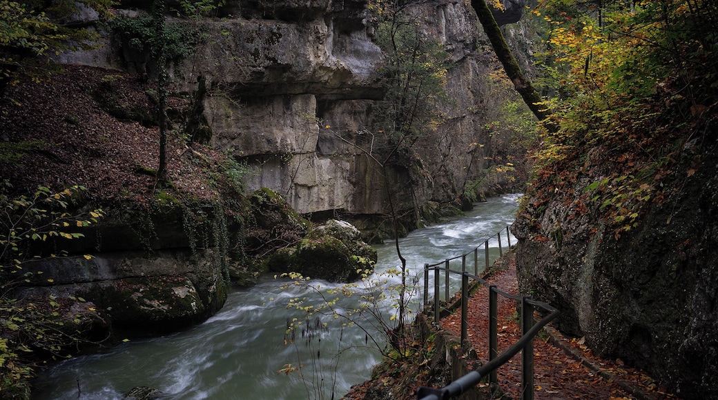 You will walk almost side by side with the water for a good part of the path in the gorges, a host of scenic spots awaiting the photographers along the way.