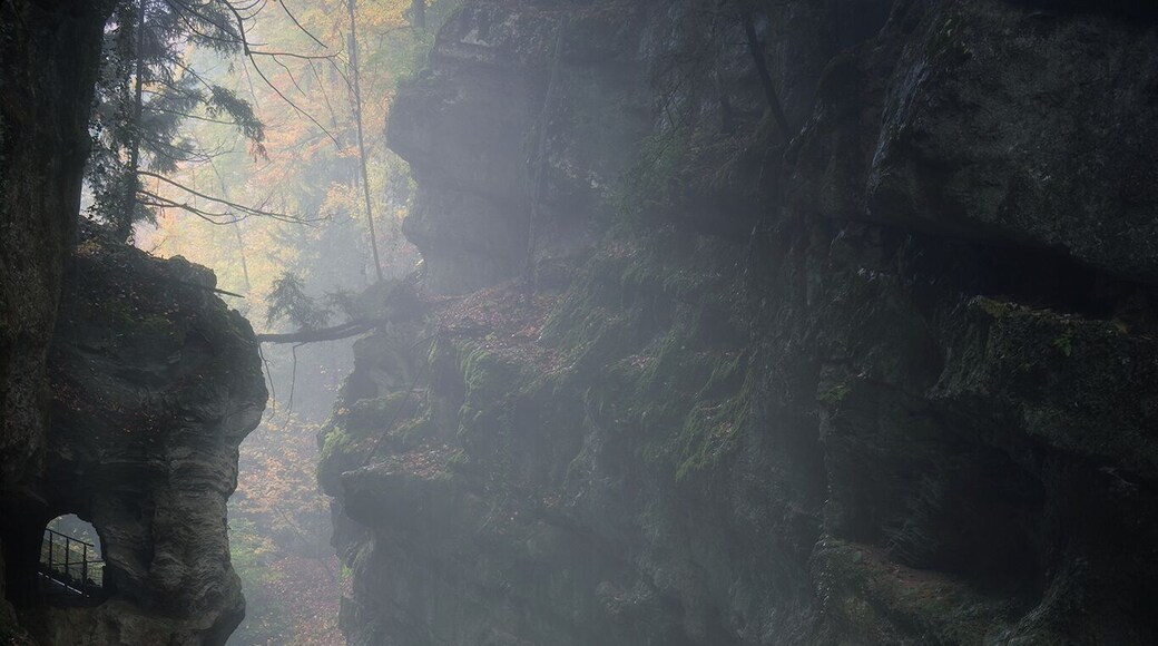 This view is close to one end of the walk, when the lingering fog illuminated by the soft glow of light, the gorge itself will look magic, making you feel like staying longer than ever.