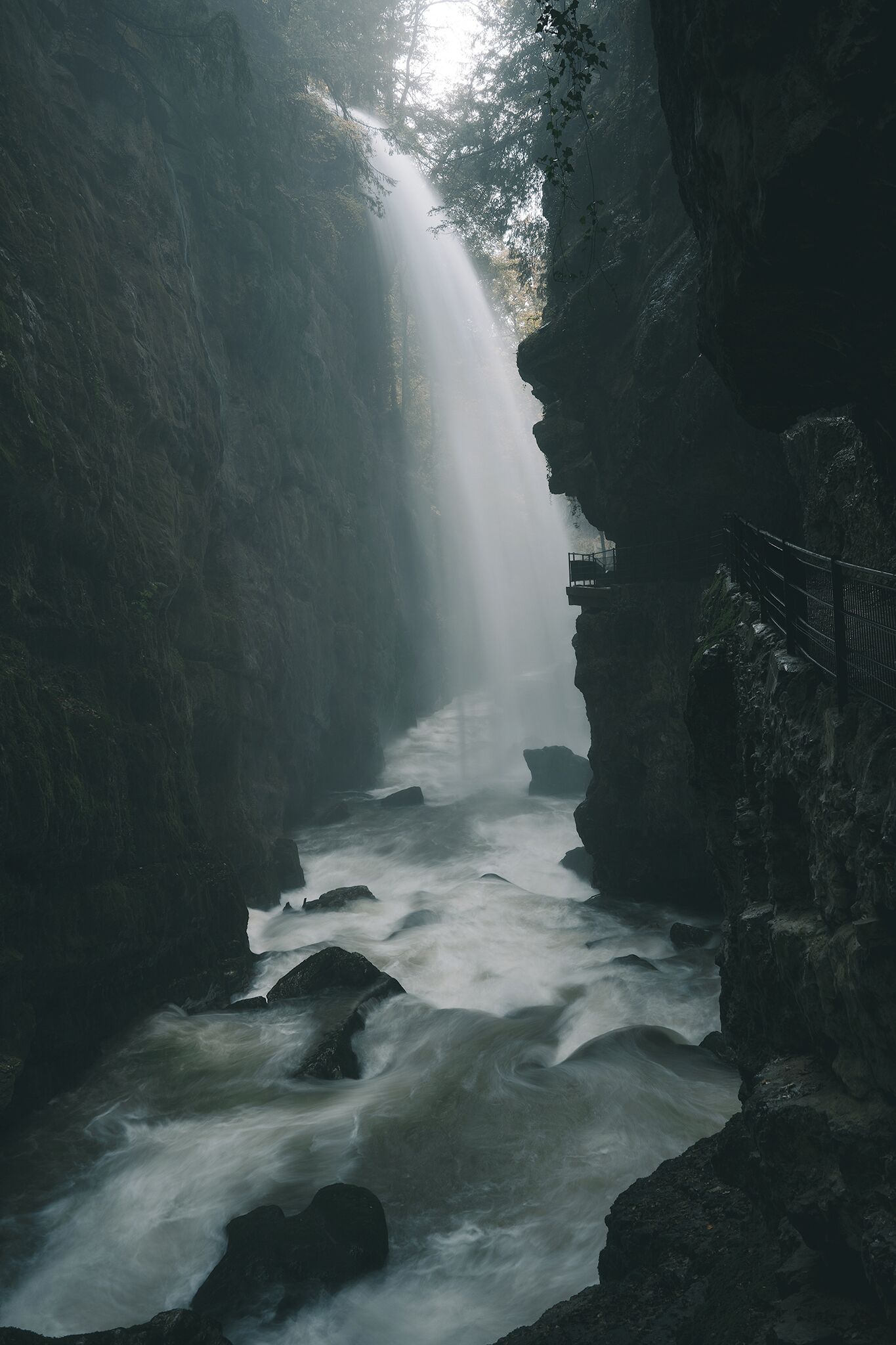 Last surprise before the walk comes to an end!