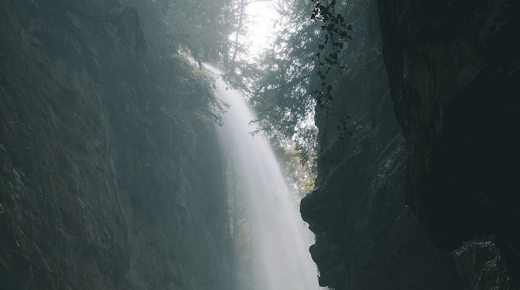 Last surprise before the walk comes to an end!