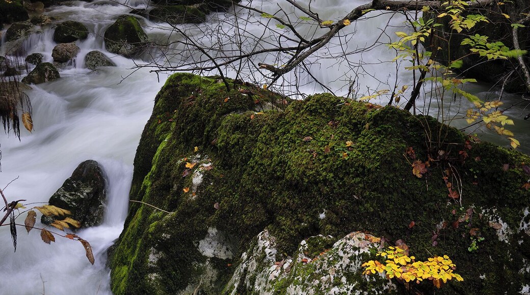 Scenic spot along the way in the gorges!