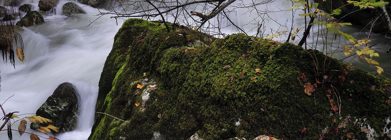 Scenic spot along the way in the gorges!