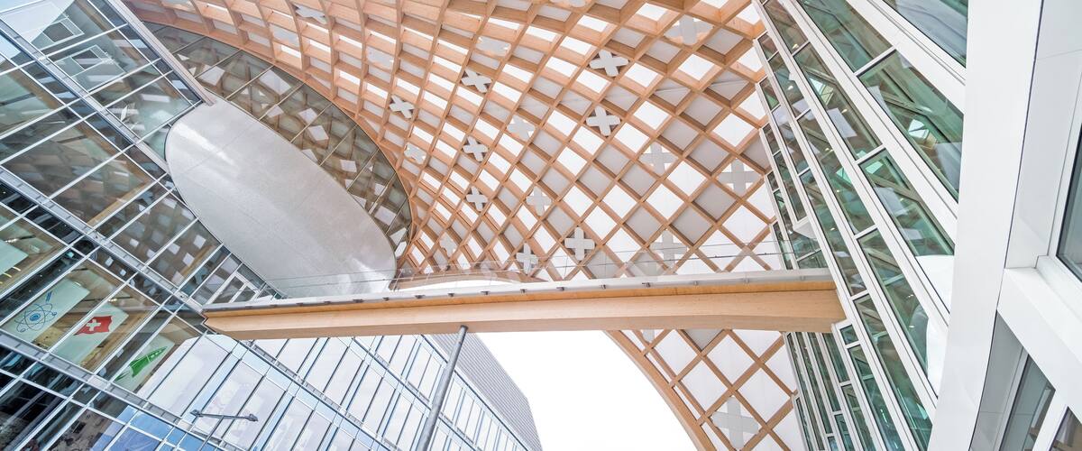 A modern architectural structure with a wooden lattice ceiling and glass windows.