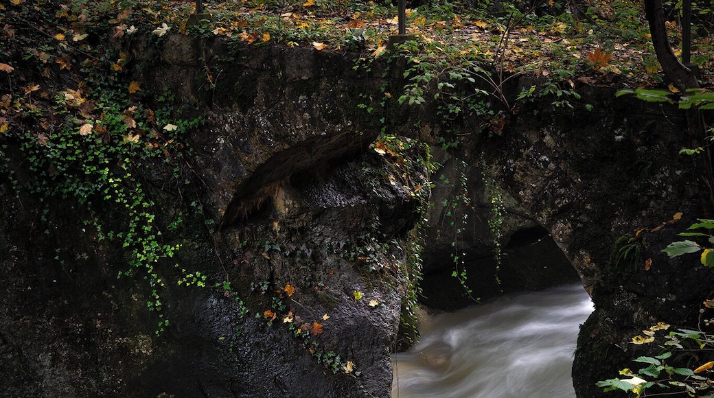 When you walk along the gorge, you will encounter this beautiful bridge above the fast moving water.