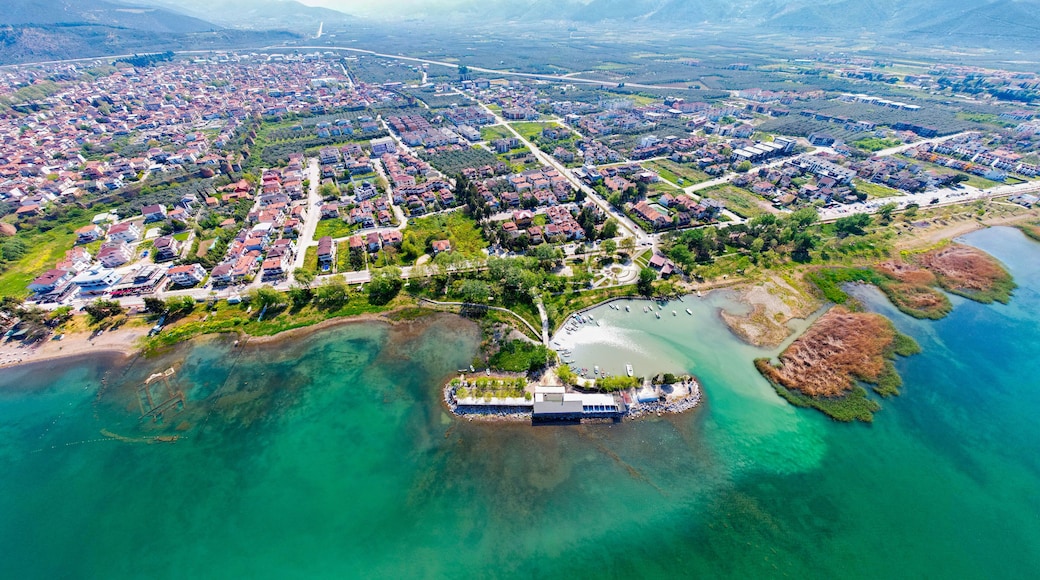 Bursa