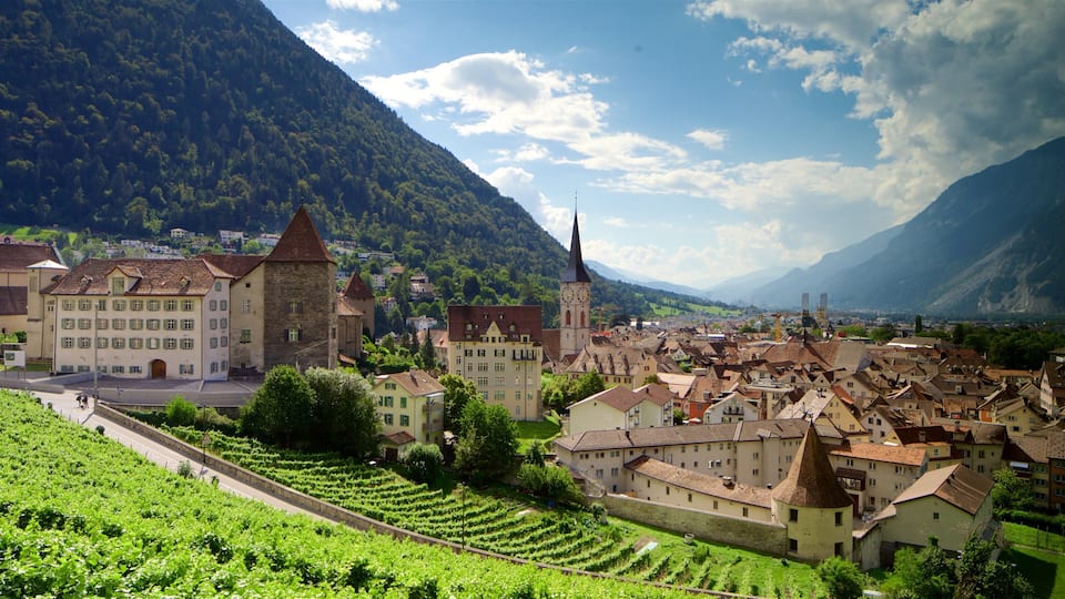 A town with a prominent church tower, vineyards, and a mountainous backdrop.