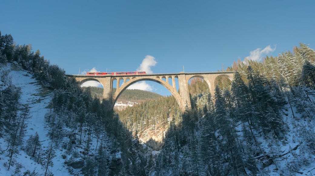 Davos which includes forests, snow and tranquil scenes
